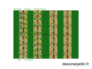 Plan du potager année 1