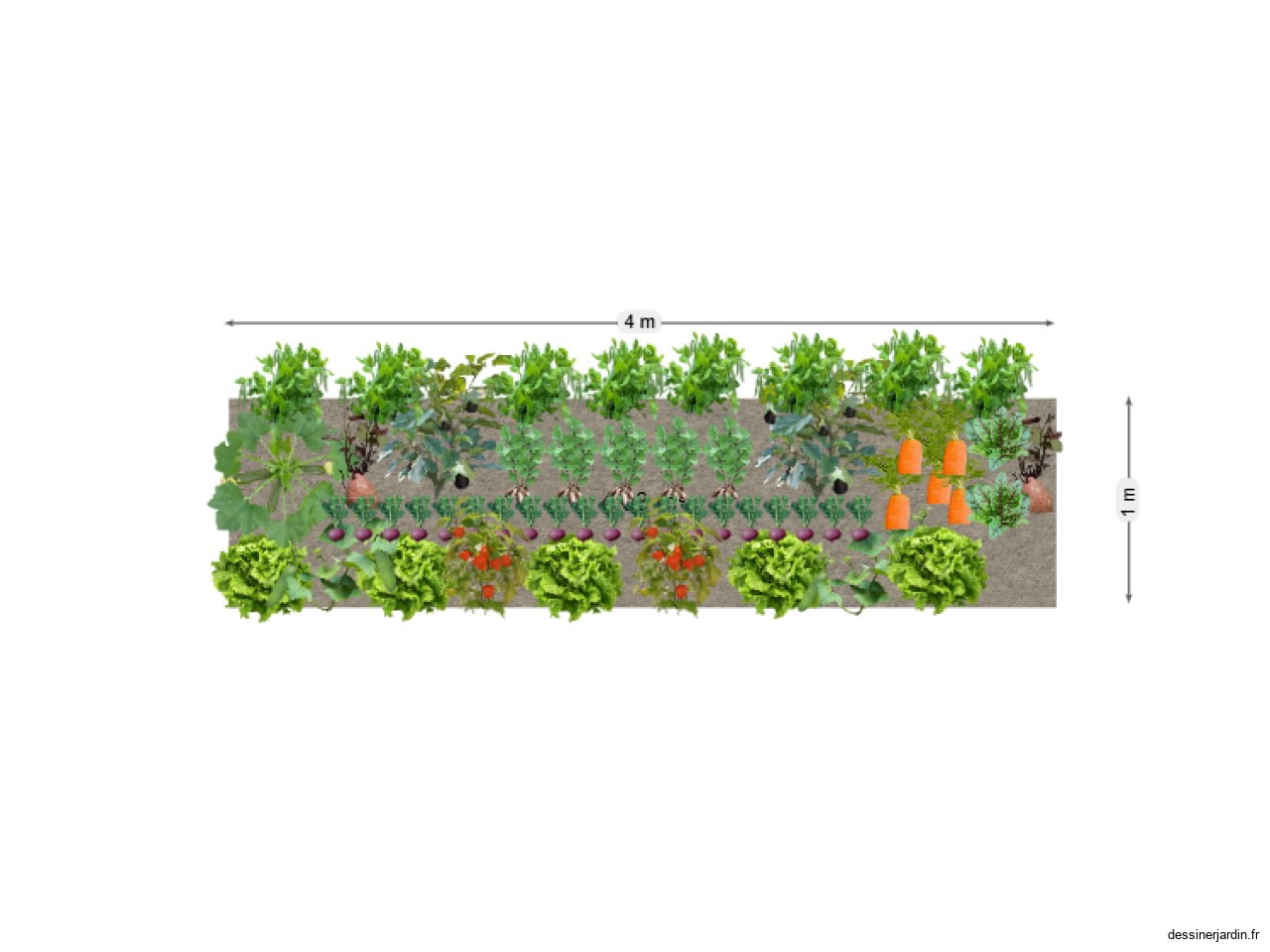 PLanche Permanente Collectif TDP