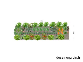 PLanche Permanente Collectif TDP
