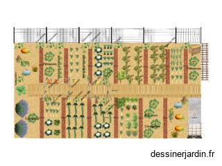 Potager 2025/Eté