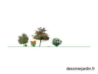 massif 10m
