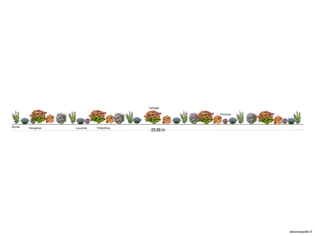 Plantation des 6 spir&eacute;es