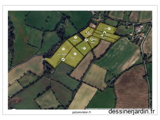 Agroforesterie paddock