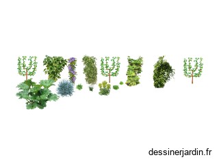 Projet Forest - Mur arrière