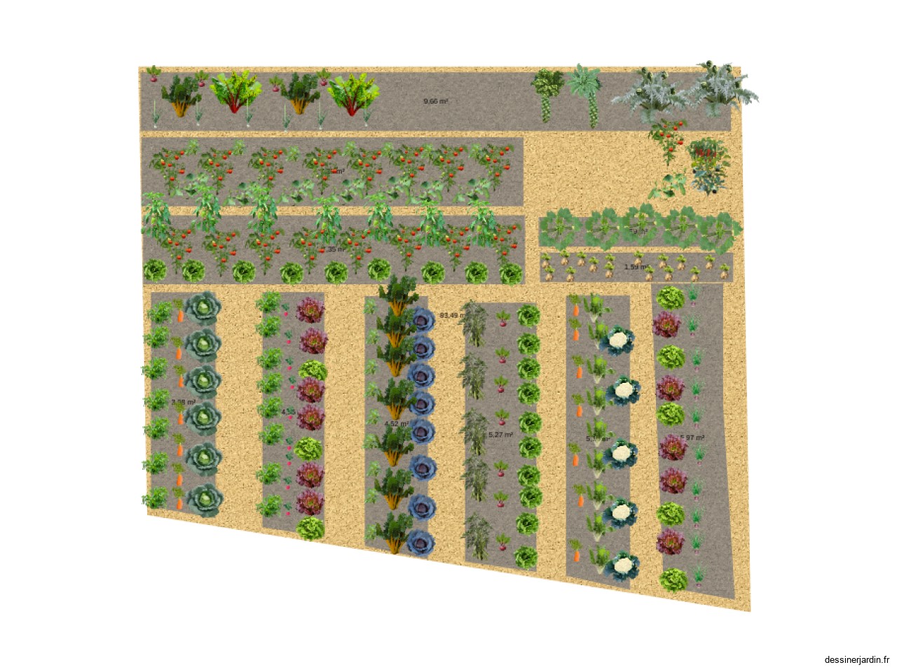 Plan potager 2025