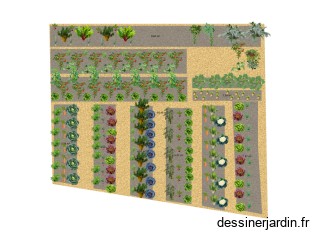 Plan potager 2025