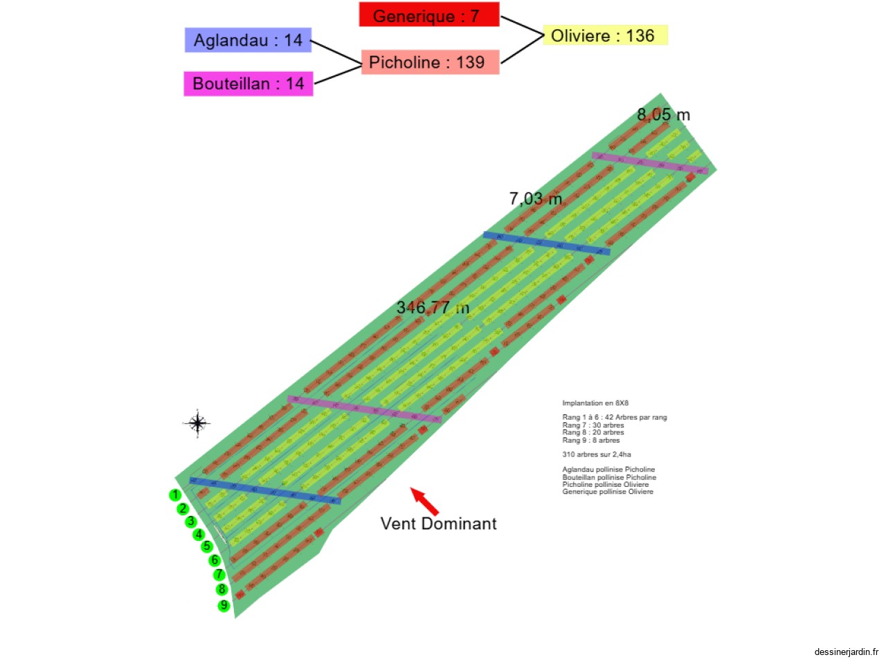 Oliveraie_Diversification