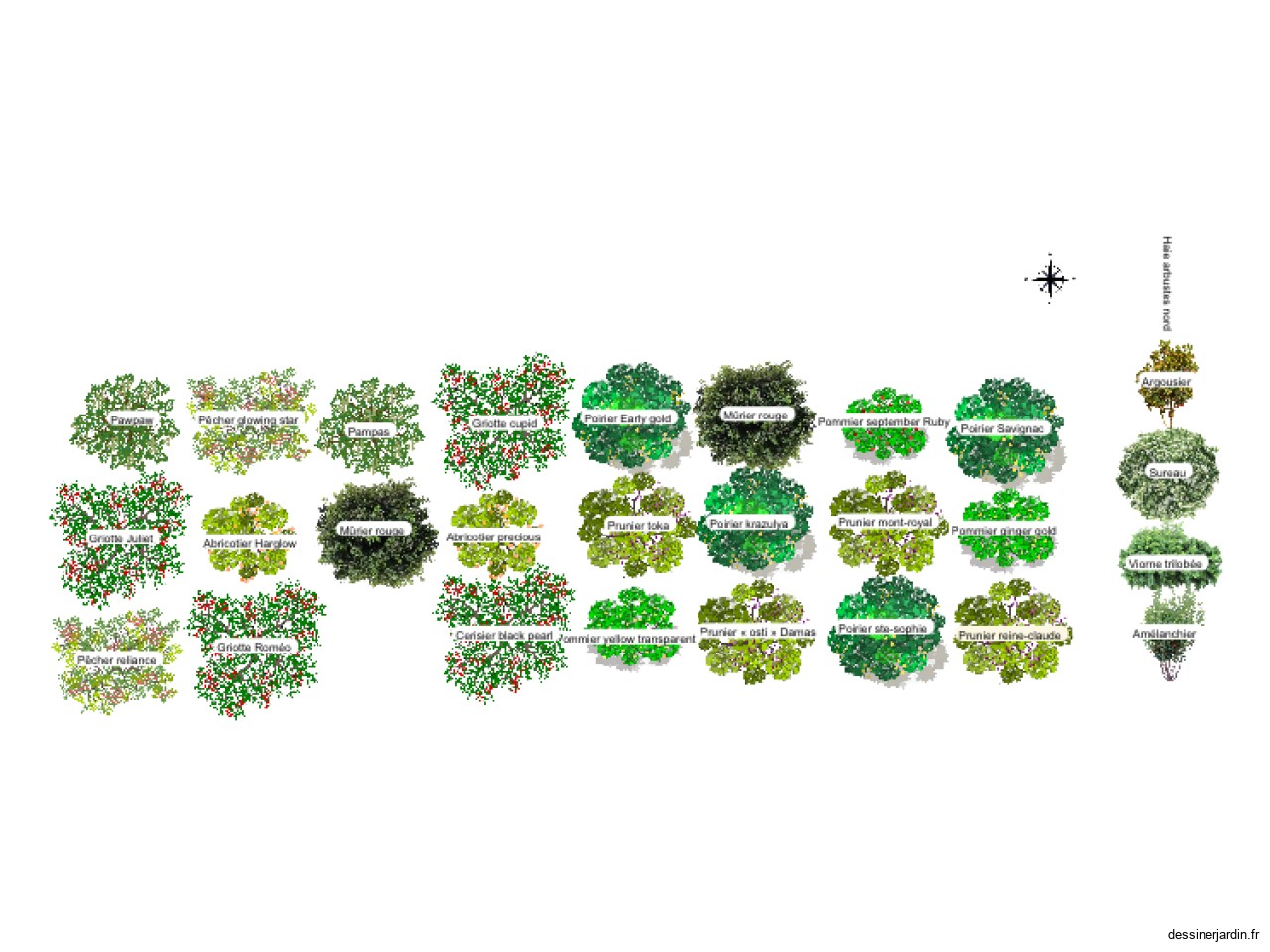 Verger forêt nourissiere