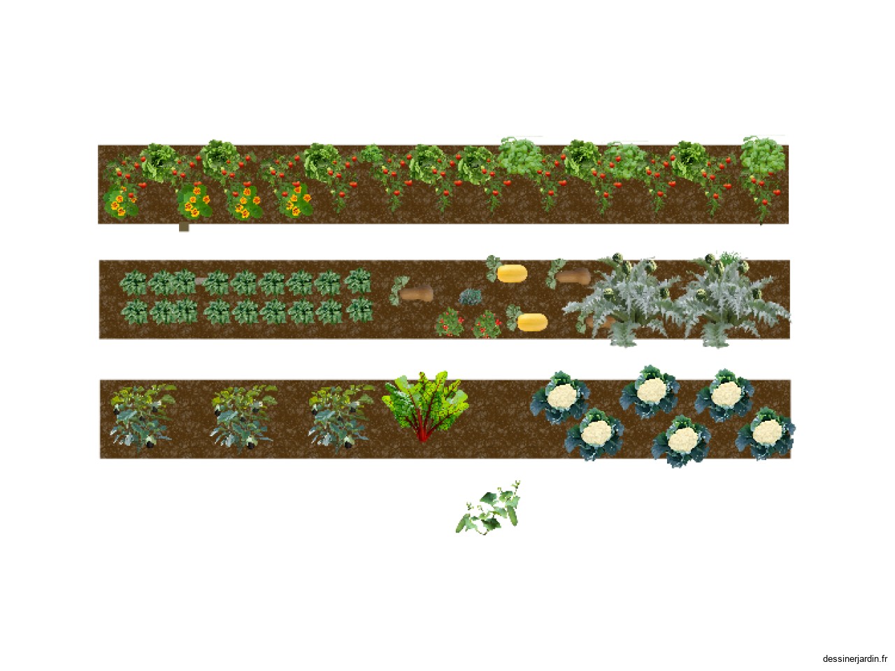 potager futur 2