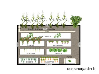 jardin maison