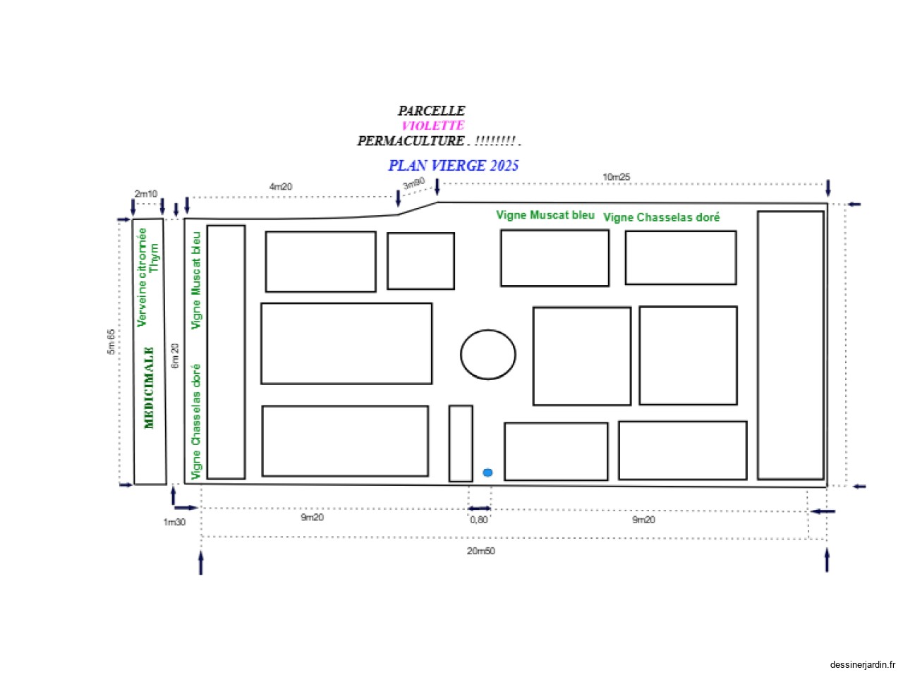 PLAN VIERGE 2 - PERMACULTURE  2025