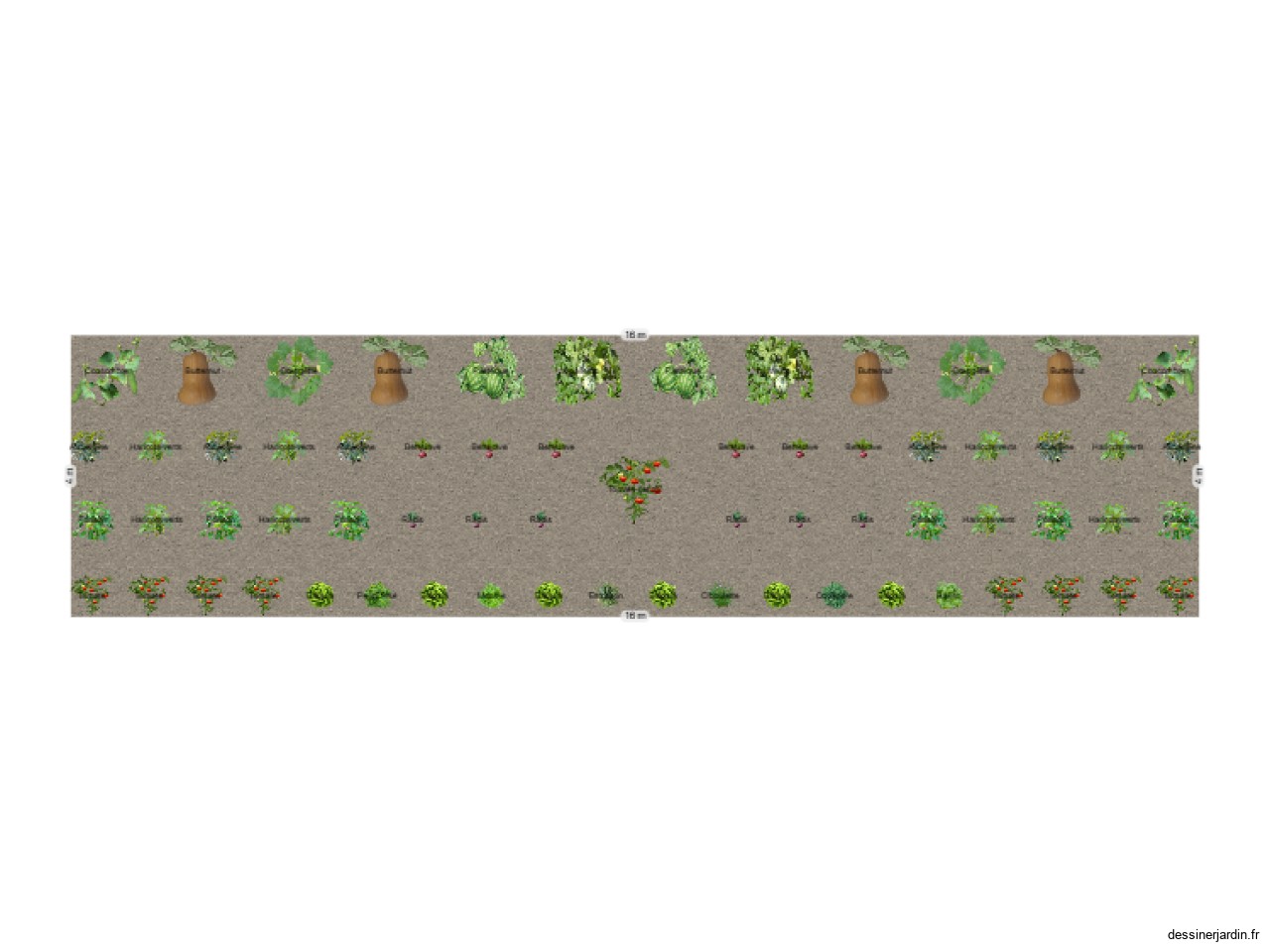 Potager Nouredine