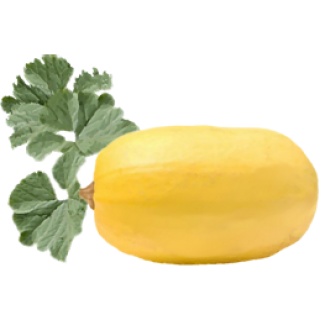 Courges